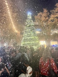 Christmas Tree Lighting