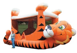 Belly20Trans 1774552298 Tiger Belly Bouncer