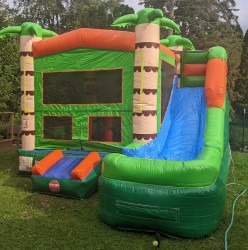 Palm Tree Bounce and Slide