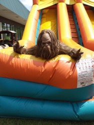 Double20Slide2020Sasquatch202 1774554009 Dual Lane Slide