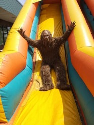 Double20Slide2020Sasquatch 1774554009 Dual Lane Slide