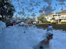 foam party 1 1778199970 Foam Premium Four Cannon 251-350 people